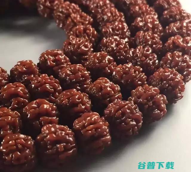 红岩金刚和红岩杰狮有何区别 (红岩金刚和红岩杰狮发动机一样吗)