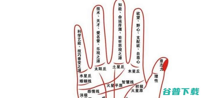 如何看手相命运线