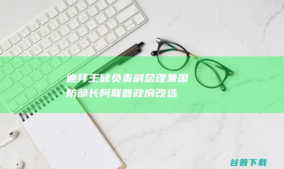 迪拜王储负责副总理兼国防部长 阿联酋政府改选 (迪拜 王储)