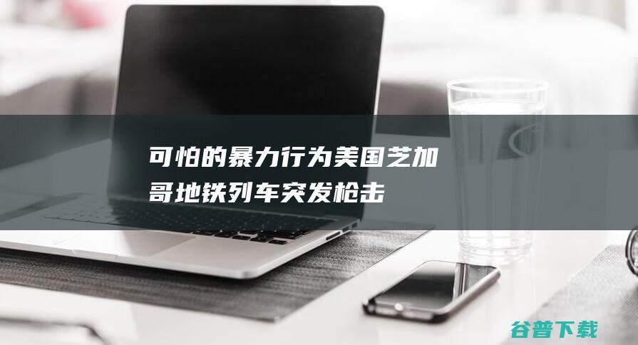 “可怕的暴力行为”美国芝加哥地铁列车突发枪击致4死|枪击事件