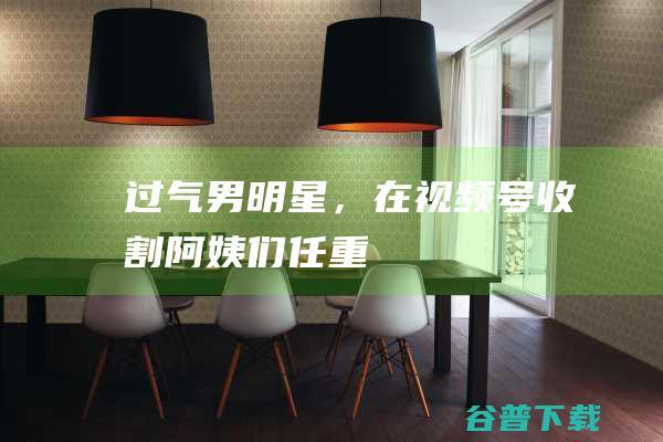 过气男明星，在视频号收割阿姨们任重