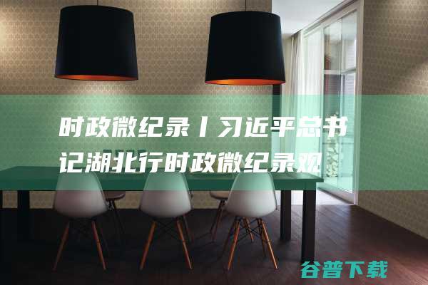 时政微纪录丨习近平总书记湖北行 (时政微纪录观后感)