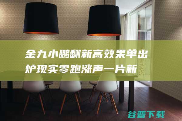 金九 小鹏翻新高 效果单出炉 现实 零跑 涨 声一片！新权利 (金鹏v9)