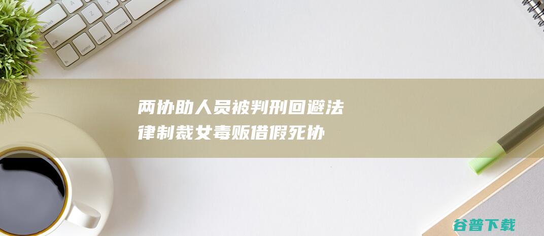两协助人员被判刑 回避法律制裁 女毒贩借 假死 (协助人员是什么意思)