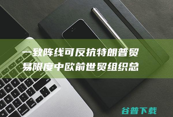 一致阵线 可反抗特朗普贸易限度 中欧 前世贸组织总干事 (一致阵线可反映什么)