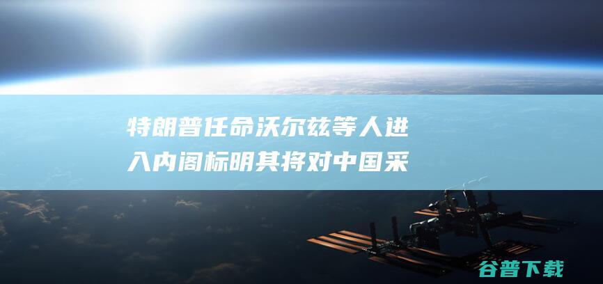特朗普任命沃尔兹等人进入内阁 标明其将对中国采取更强硬的立场 金融时报 (特朗普 沃顿)