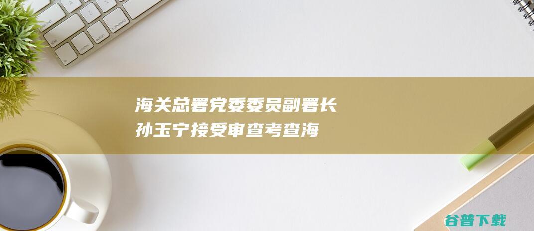 海关总署党委委员 副署长孙玉宁接受审查考查 (海关总署党委三个毫不)
