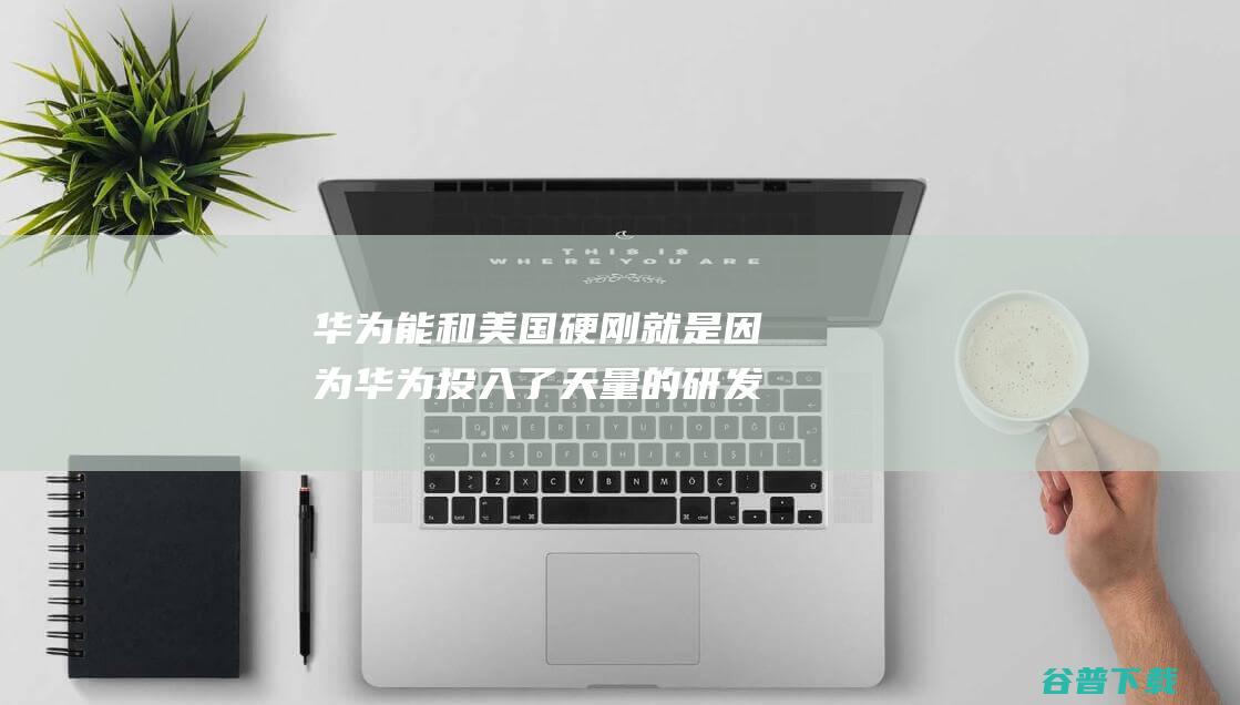 华为能和美国硬刚 就是因为华为投入了天量的研发费用