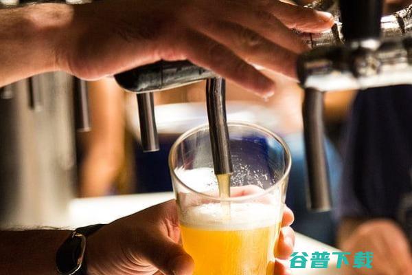 哈舅精酿微醺酒馆加盟 (哈舅精酿微醺酒馆地址青龙县)