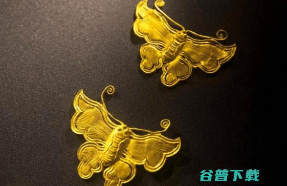 是统一配送吗 鸿达旺运的商品多吗 (统一配送统一管理)