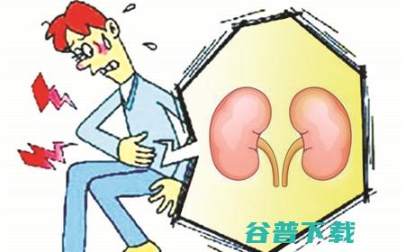 肾不全应该做检查