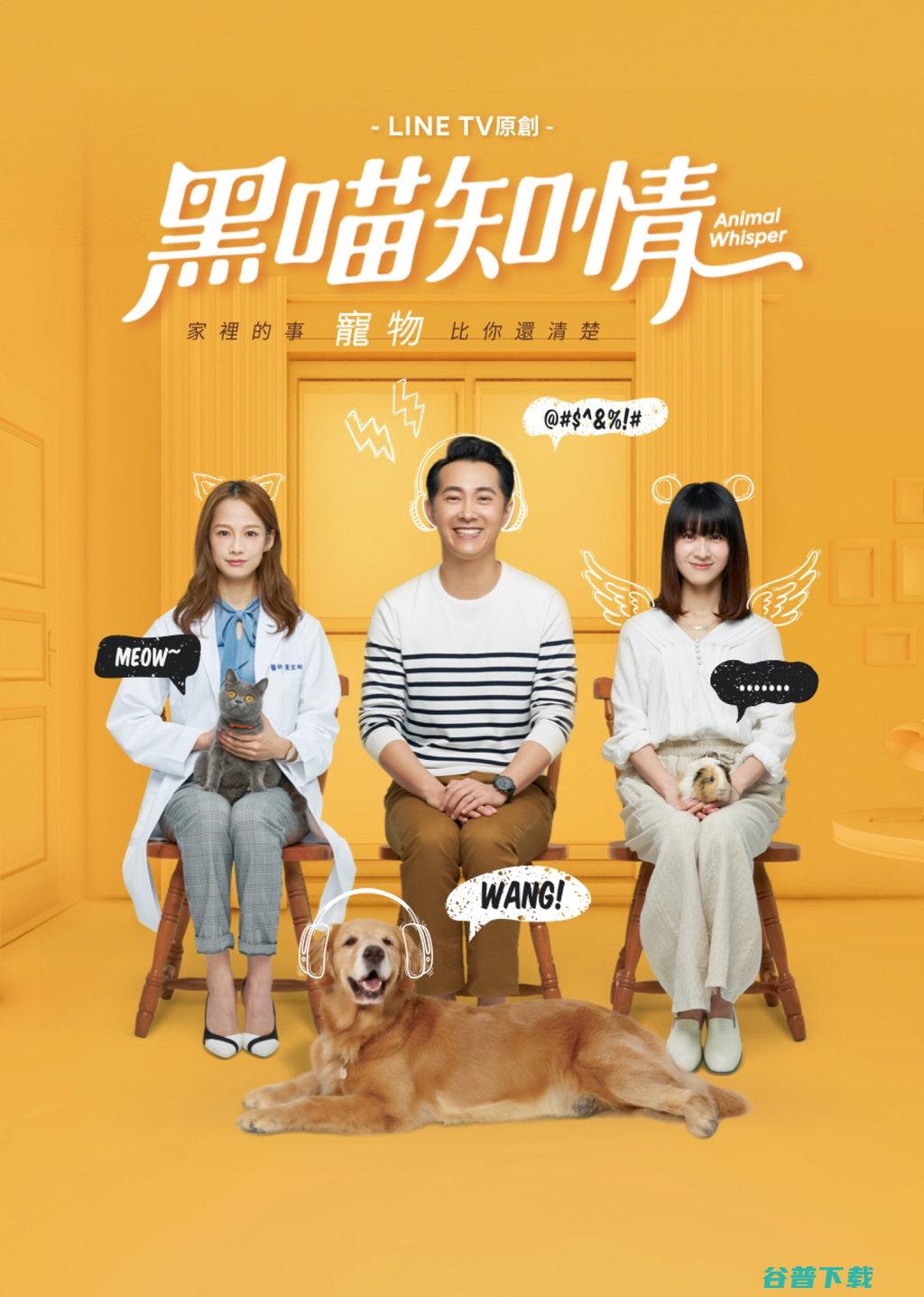 黑智传媒站内互动数据分析 (黑哲传媒)