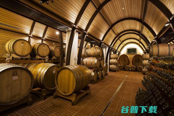 提拉拉红酒代理费高吗 顾客喜欢吗 (提拉拉红酒代言人是谁)