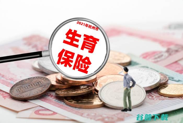 杭州市生育办法