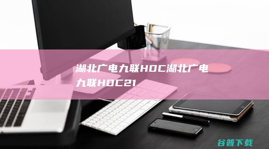 湖北广电九联HDC湖北广电九联HDC21