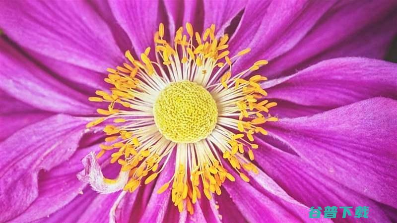 一步到位的极致光影体验X5Ultra激光投影仪
