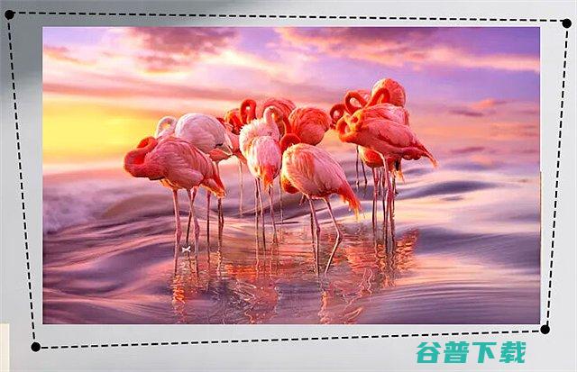 夏新C50投影仪怎么样一文了解夏新C50投影仪配置