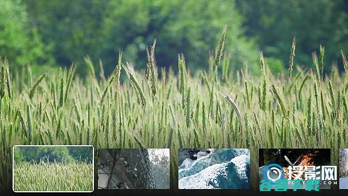氛围壁纸极米INUI使用怎么把氛