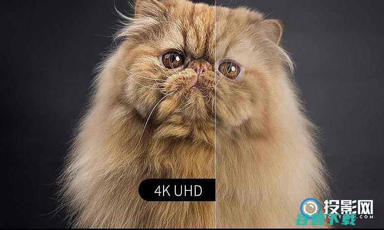奥图码506值得入手吗奥图码506真实测评怎