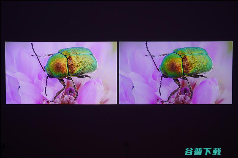 当贝X5和H5哪款画质更出色当贝X5和H5画