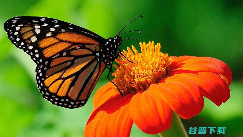 还要省心神画F1开箱评测如何选除了亮度