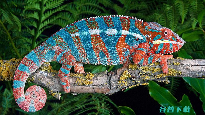 还要省心神画F1开箱评测如何选除了亮度