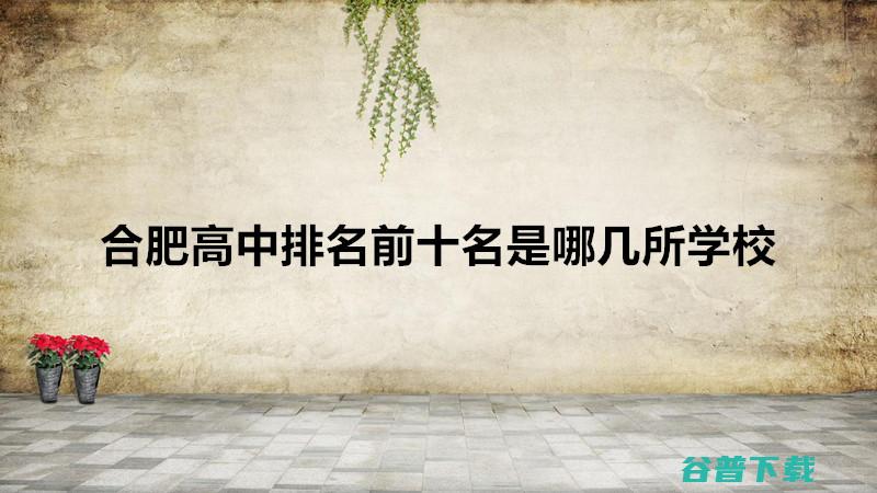 合肥哪所高中比较好 (合肥哪所高中文科好)