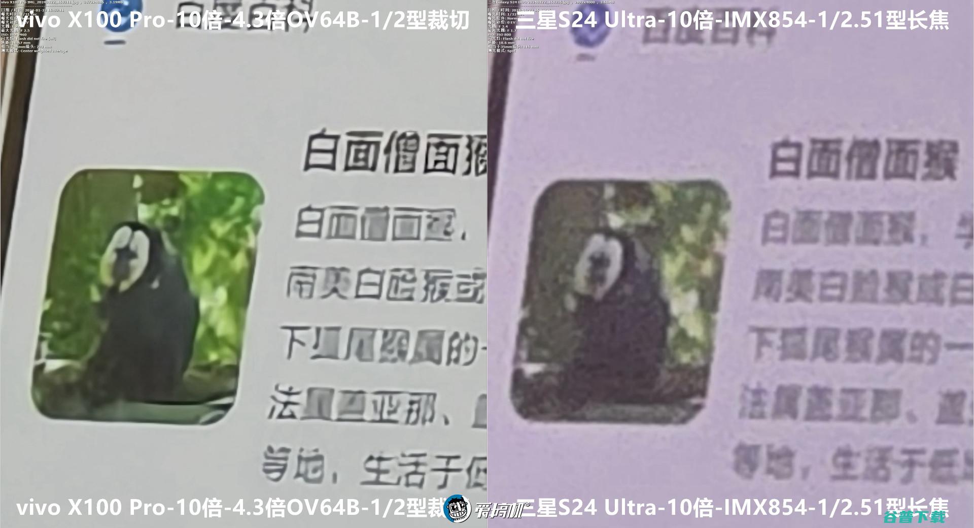 窄边直屏的信仰， S24简单上手+X100 Pro样张对比