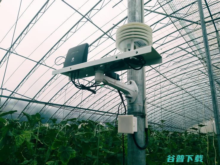 中国蔬菜第一县数字化，山东没有押错宝