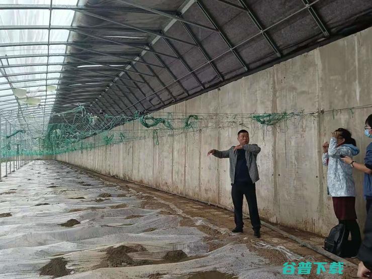 中国蔬菜第一县数字化，山东没有押错宝