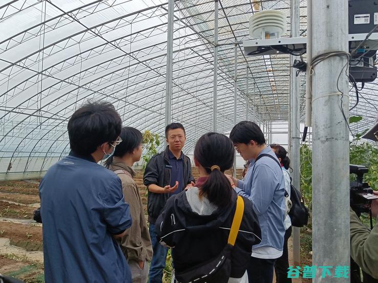 中国蔬菜第一县数字化，山东没有押错宝