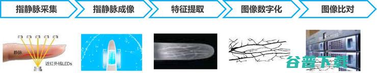 想当厂长的 CEO，却进了「静脉识别」的坑，一干就是八年