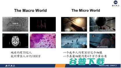 西湖大学郭天南：从「元宇宙」视角，探秘蛋白质组大数据