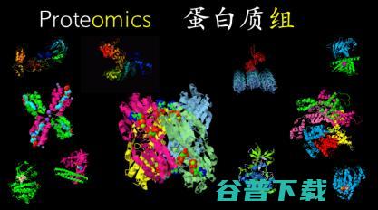 西湖大学郭天南：从「元宇宙」视角，探秘蛋白质组大数据