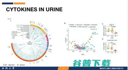 西湖大学郭天南：从「元宇宙」视角，探秘蛋白质组大数据