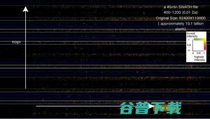 西湖大学郭天南：从「元宇宙」视角，探秘蛋白质组大数据