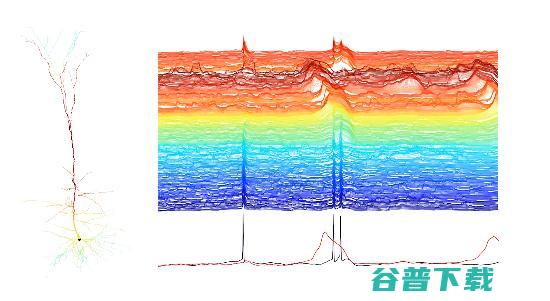 一个大脑神经元相当于5到8层人工神经网络？生物神经元计算复杂度可能远远不止于此
