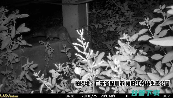 怎样管好深圳的4000多个海绵项目？腾讯云解题