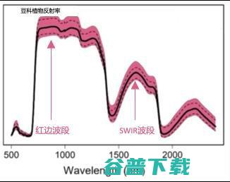 【ATEC2022赛题技术分享】基于预训练的遥感农作物识别