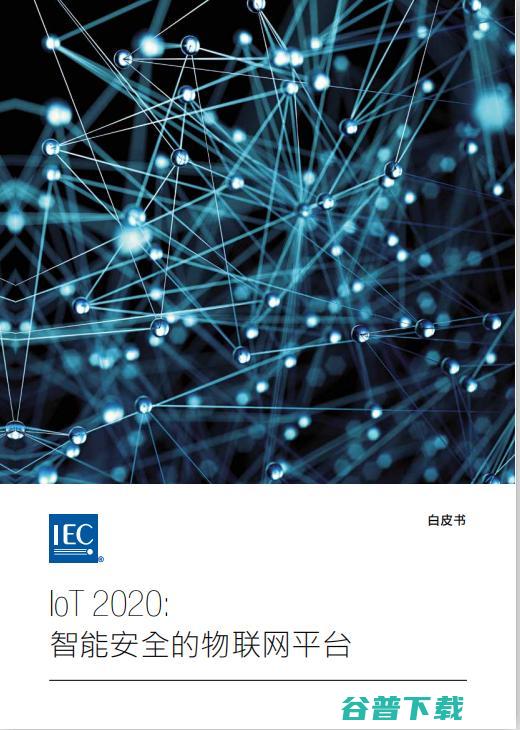 页报告告诉你 的未来在哪里 IEC 必看系列 187 IoT (报告页数)