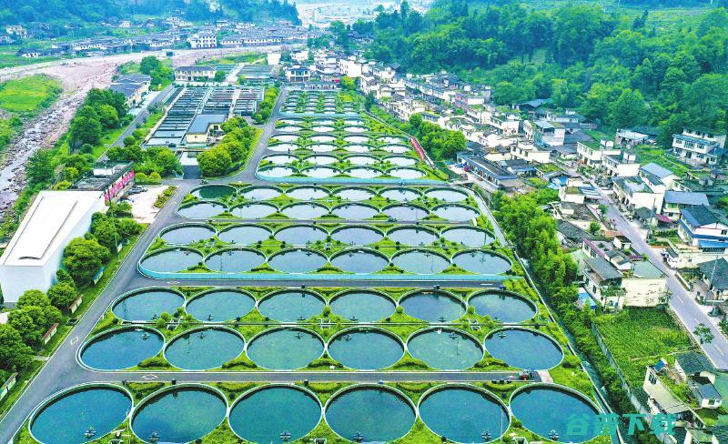 加盟田坤道大米粮油品牌流程