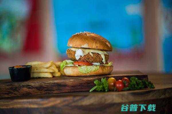 加盟汤姆之家汉堡至少需要多少创业资金 (加盟汤姆之家多少钱)