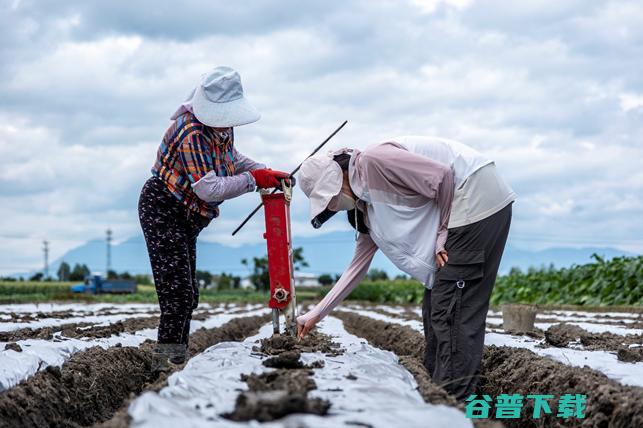 “多多课堂”为科技小院新生开展电商公益培训：好科研要上书架和货架