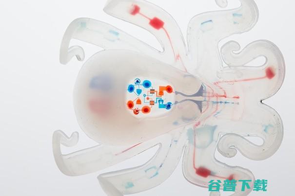 世界上第完全软体自，用“气动”取代“电动” | 新智造