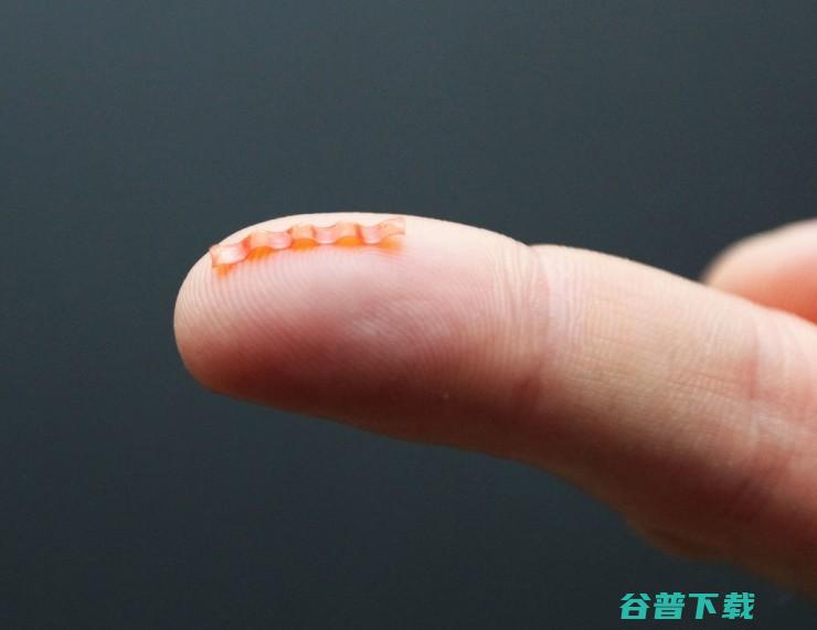 波兰团队打造毛毛虫机器人：驱动和控制全靠光线
