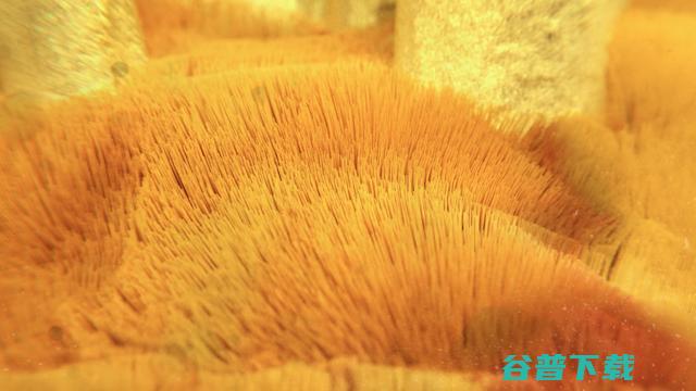 被人工智能吓尿的艺术家 用人工智能做了酷炫动画 (人工智能吓坏了曹操)