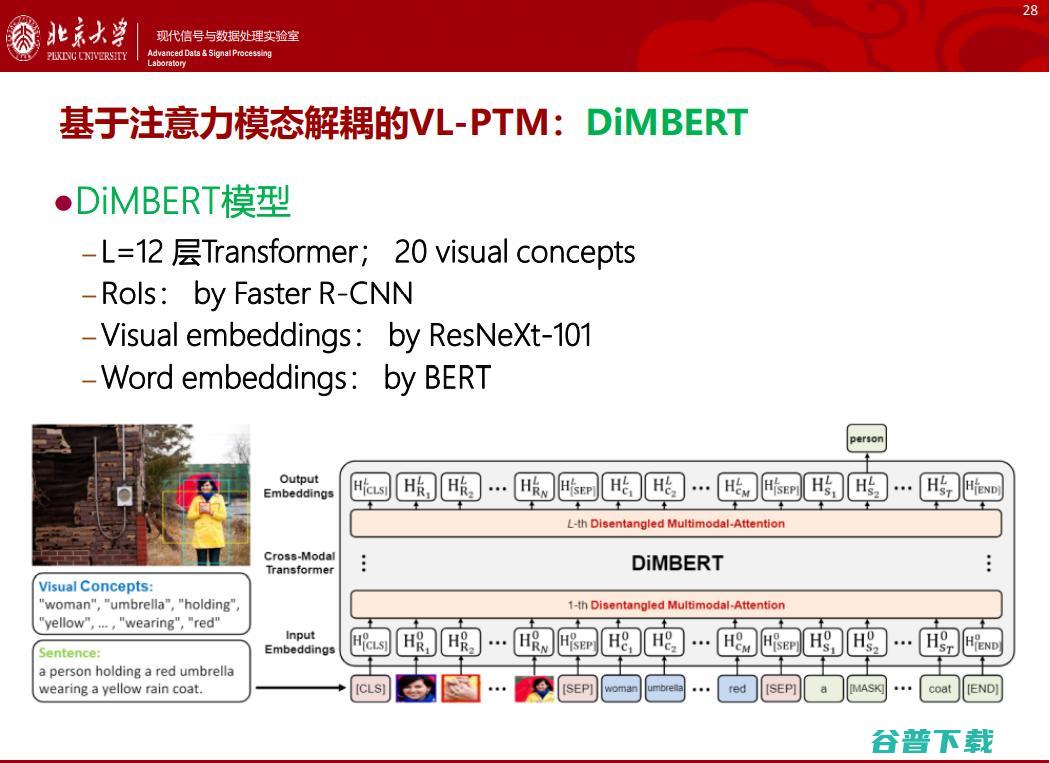 北大邹月娴：视觉-语言预训练模型演进及应用