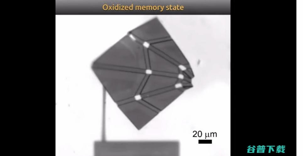 安上新型纳米级器，「千纸鹤」100 毫秒完成自折叠 | Science 子刊封面