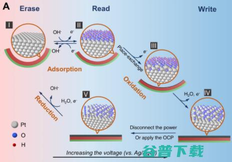 安上新型纳米级器，「千纸鹤」100 毫秒完成自折叠 | Science 子刊封面