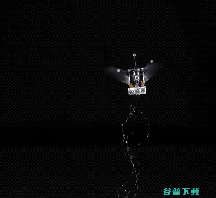 普渡大学邓新燕副教授蜂鸟机器人研究即将登上ICRA2019舞台，同步开源蜂鸟模拟环境